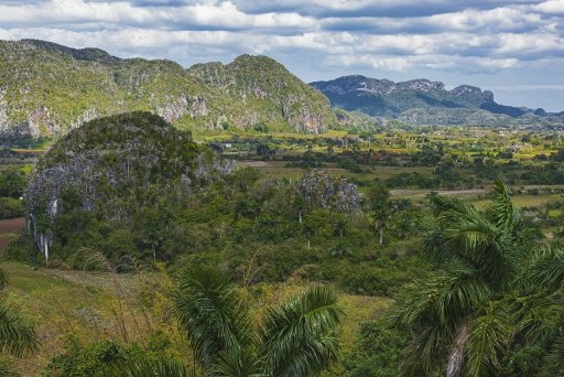 Viñales